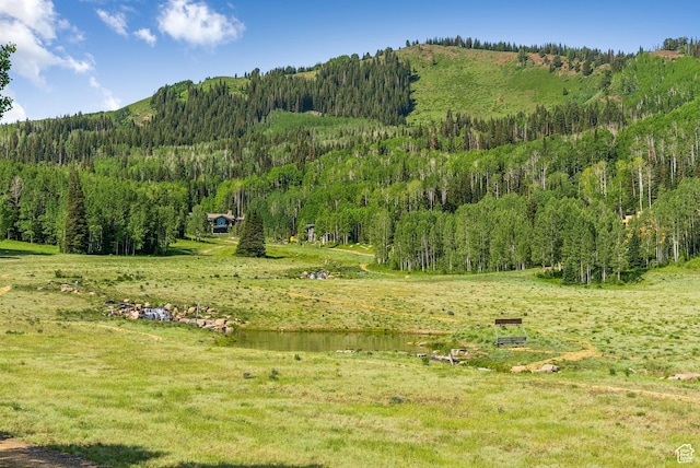 263 White Pine Canyon Rd, Park City, UT 84098 - photo 30