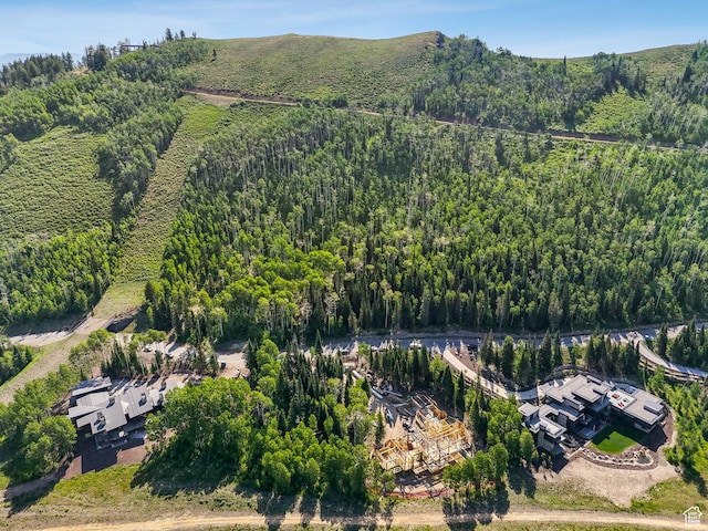 263 White Pine Canyon Rd, Park City, UT 84098 - photo 20