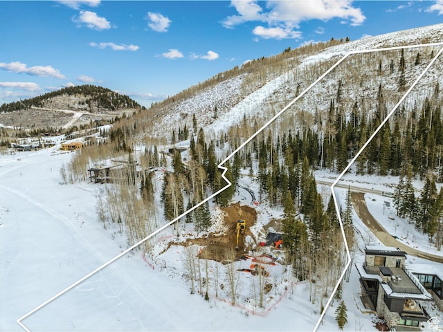 263 White Pine Canyon Rd, Park City, UT 84098 - photo 37