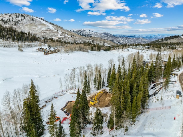 263 White Pine Canyon Rd, Park City, UT 84098 - photo 36