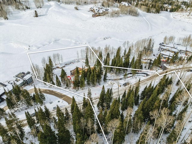 263 White Pine Canyon Rd, Park City, UT 84098 - photo 43