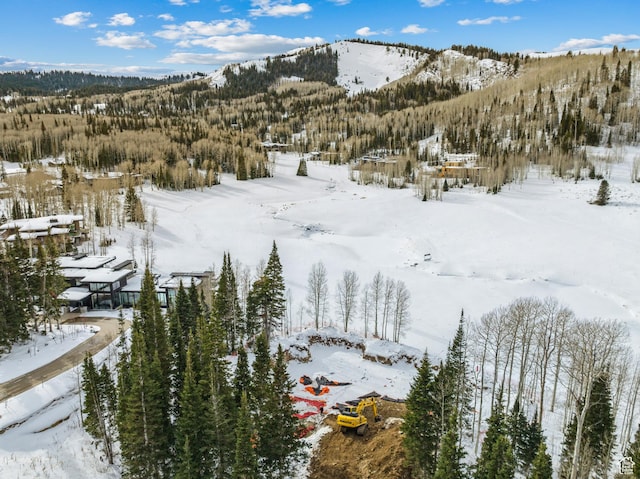 263 White Pine Canyon Rd, Park City, UT 84098 - photo 39