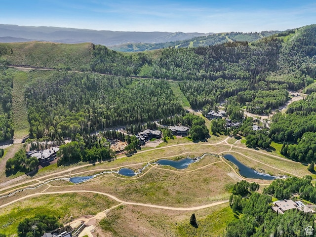 263 White Pine Canyon Rd, Park City, UT 84098 - photo 18