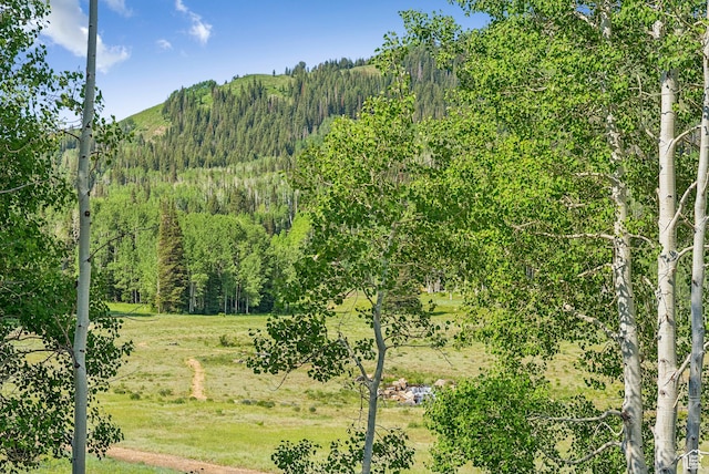 263 White Pine Canyon Rd, Park City, UT 84098 - photo 21
