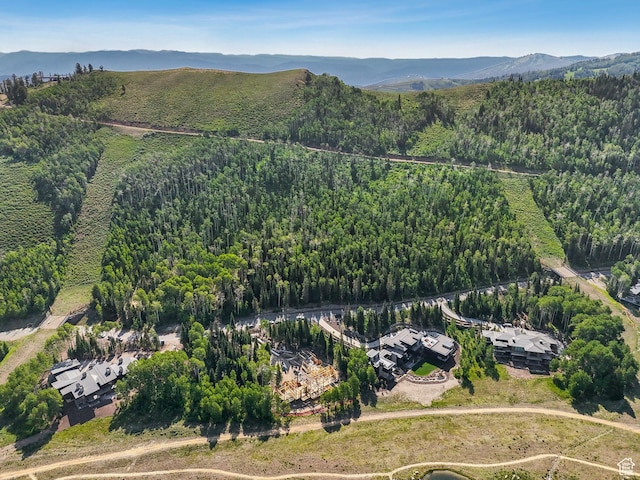 263 White Pine Canyon Rd, Park City, UT 84098 - photo 19