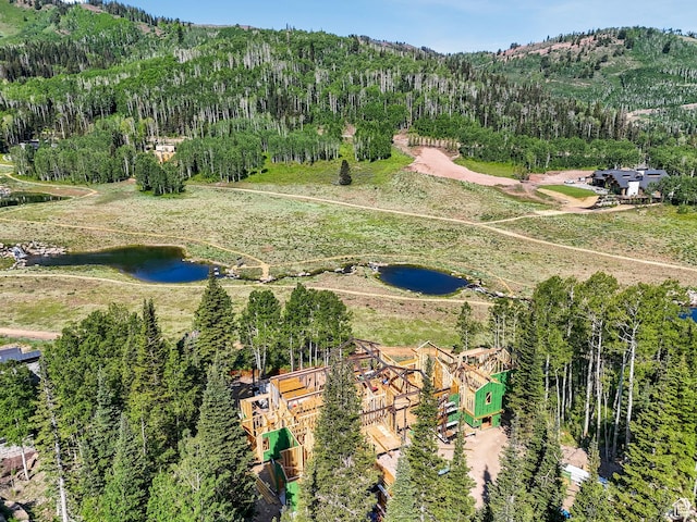 263 White Pine Canyon Rd, Park City, UT 84098 - photo 10