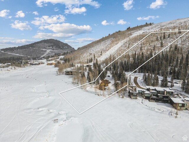 263 White Pine Canyon Rd, Park City, UT 84098 - photo 44