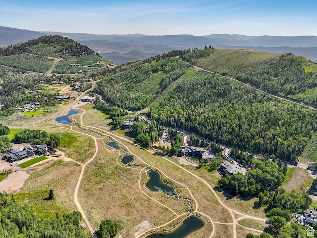 263 White Pine Canyon Rd, Park City, UT 84098 - photo 16