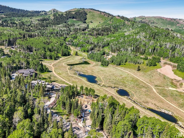 263 White Pine Canyon Rd, Park City, UT 84098 - photo 13