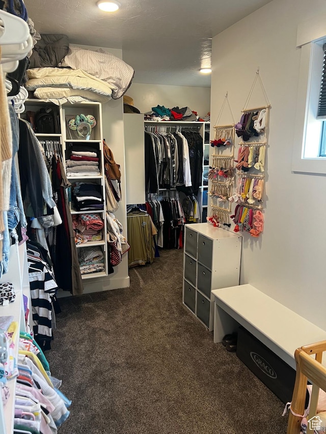 2346 Lake Cir, Preston, ID 83263 - walk in closet featuring dark carpet