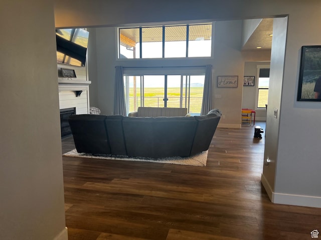 2346 Lake Cir, Preston, ID 83263 - living room featuring dark wood-style floors and a glass covered fireplace