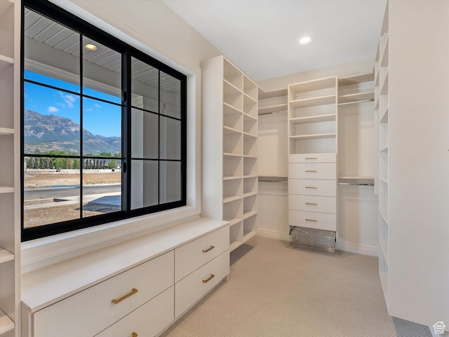 1395 N 330 E Unit 3, Orem, UT 84057 - walk in closet featuring light carpet
