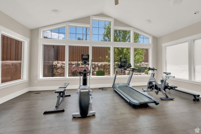 10376 S Beetdigger Blvd, Sandy, UT 84070 - exercise room with vaulted ceiling, dark wood-style flooring, and ceiling fan