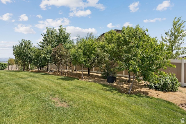 3406 E Skye Loop, Eagle Mountain, UT 84005 - photo 41