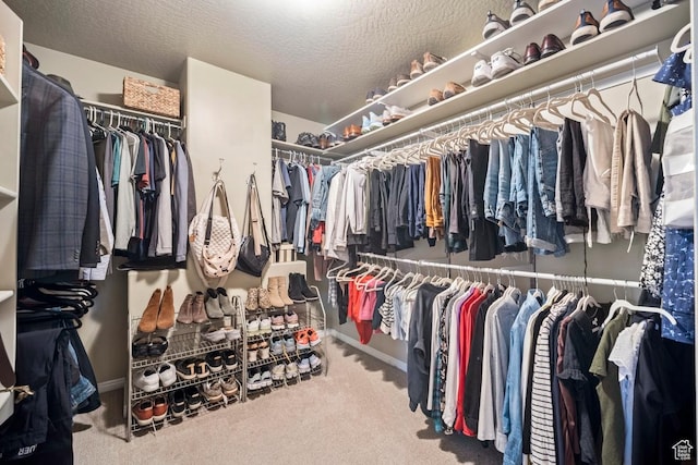 10025 Silver Streak Dr, South Jordan, UT 84095 - walk in closet featuring carpet floors