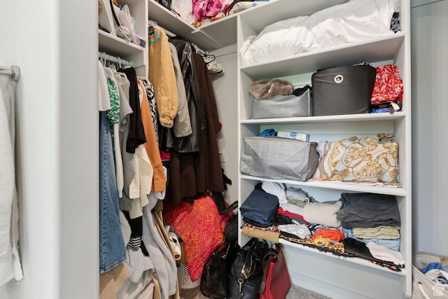 1288 Lincoln Ave, Ogden, UT 84404 - spacious closet with carpet flooring