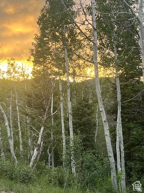 415 E Matterhorn Dr S Unit 138, Park City, UT 84098 - photo 1