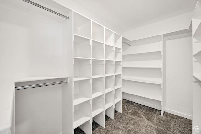 496 S 1600 E, Hyrum, UT 84319 - spacious closet featuring carpet