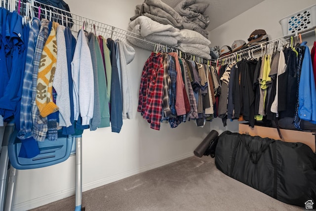 141 W Suncrest Ln, Saratoga Springs, UT 84045 - walk in closet featuring carpet flooring