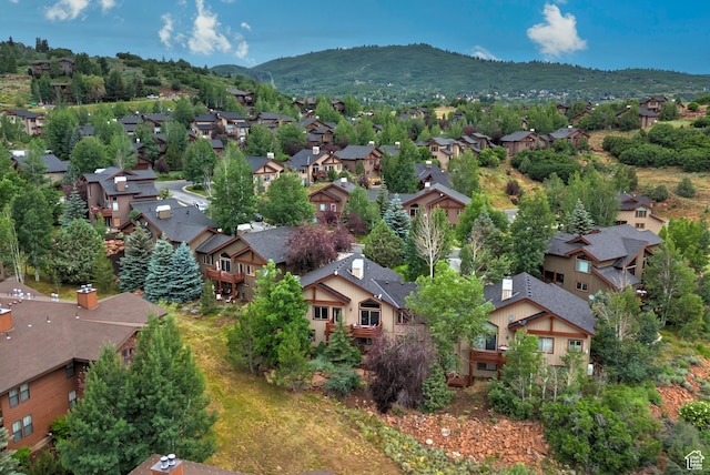 3388 Cedar Dr, Park City, UT 84098 - photo 36