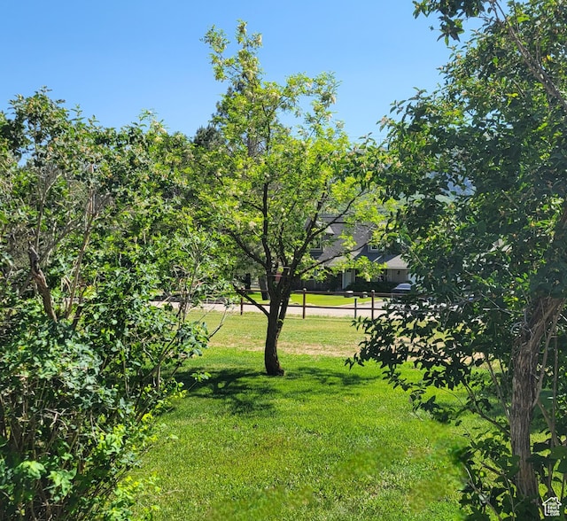 3250 N River Dr, Eden, UT 84310 - view of green lawn
