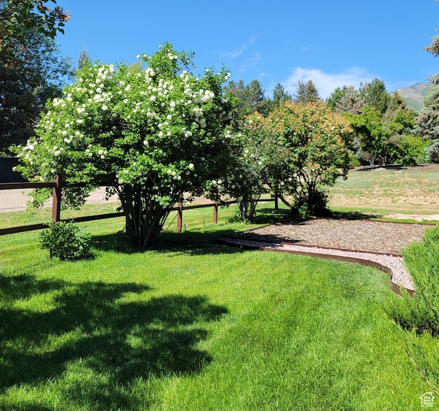 3250 N River Dr, Eden, UT 84310 - view of yard