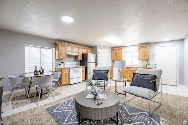 9768 N 5520 W, Highland, UT 84003 - living room featuring light tile patterned floors and a textured ceiling
