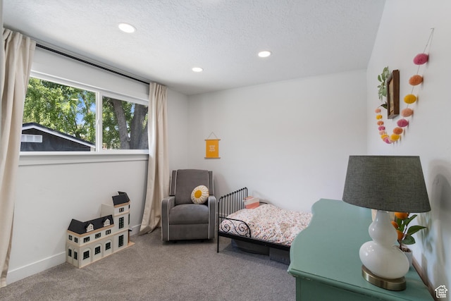 9499 S 220 E, Sandy, UT 84070 - bedroom with carpet floors, recessed lighting, and a textured ceiling
