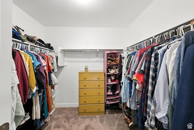 15104 S Halter Way, Bluffdale, UT 84065 - walk in closet with carpet floors