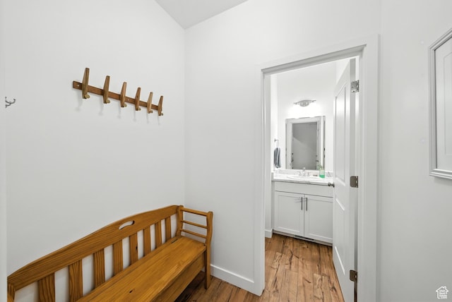 15104 S Halter Way, Bluffdale, UT 84065 - hall with light wood-style flooring and a sink