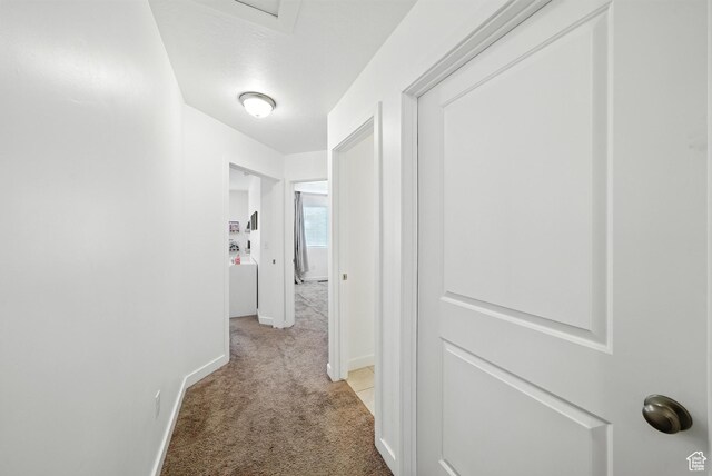 15104 S Halter Way, Bluffdale, UT 84065 - hallway with light carpet and baseboards