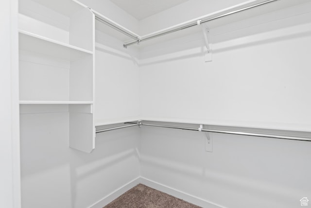4397 W Bromwell Ct, Lehi, UT 84043 - spacious closet with carpet