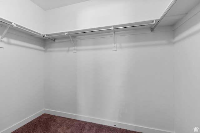15218 S Tack Way, Bluffdale, UT 84065 - walk in closet featuring dark carpet