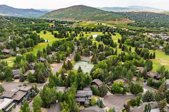 130 Webster Ct, Park City, UT 84060 - photo 68