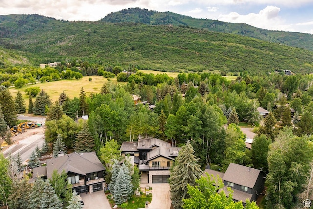130 Webster Ct, Park City, UT 84060 - photo 65