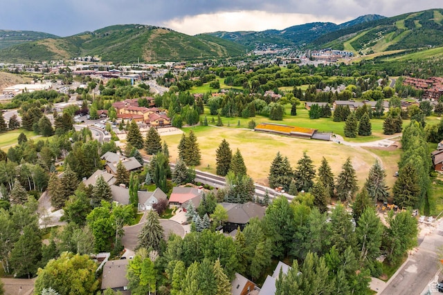 130 Webster Ct, Park City, UT 84060 - photo 67