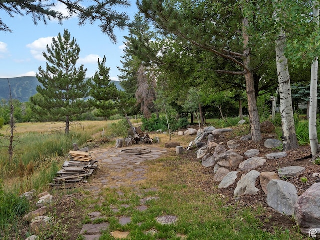 4829 E Patio Springs Cir N, Eden, UT 84310 - view of yard featuring a mountain view