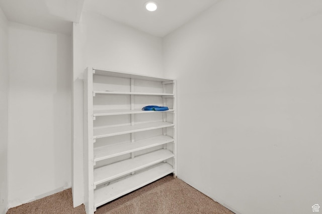 602 E Wyngate Pointe Ln S, Draper, UT 84020 - walk in closet with carpet