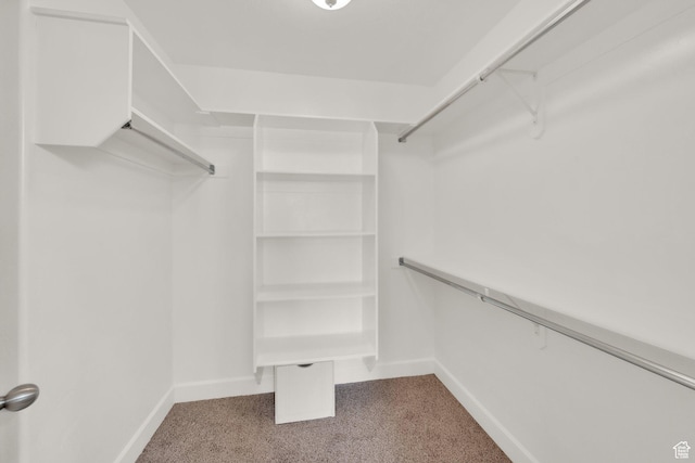 602 E Wyngate Pointe Ln S, Draper, UT 84020 - walk in closet with carpet