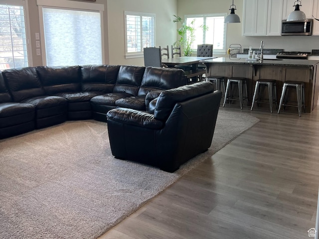 1048 N 200 E, Nephi, UT 84648 - living room with wood finished floors
