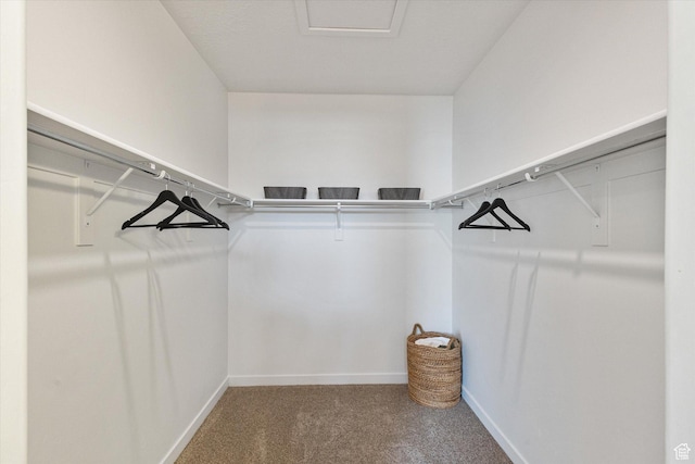 1011 W Lapis Fields Way S, Bluffdale, UT 84065 - walk in closet featuring carpet flooring