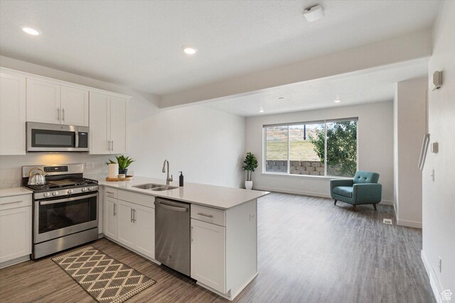 1011 W Lapis Fields Way S, Bluffdale, UT 84065 - kitchen with stainless steel appliances, open floor plan, a peninsula, wood finished floors, and light countertops