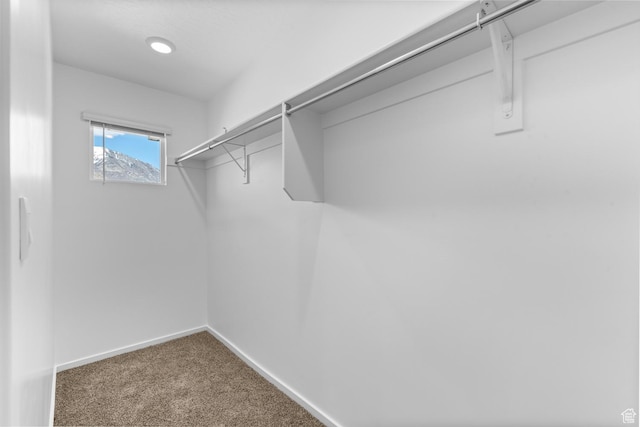 554 W 1870 S Unit 1197, Provo, UT 84601 - walk in closet with carpet flooring