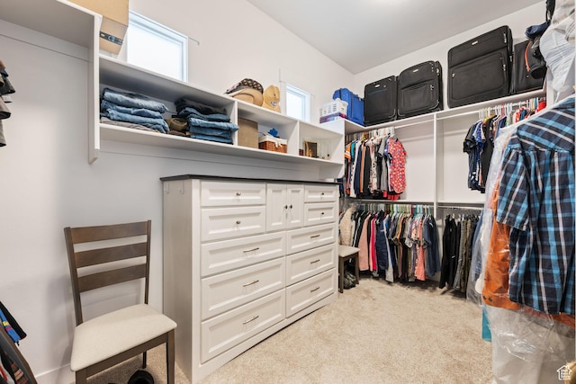 2616 S 3210 E, St George, UT 84790 - walk in closet with carpet