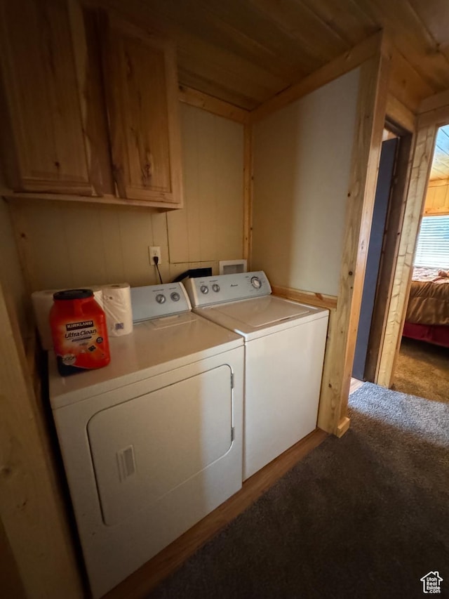 738 E Vanessa Ln Unit 386, Garden City, UT 84028 - washroom featuring washing machine and dryer, cabinet space, and carpet