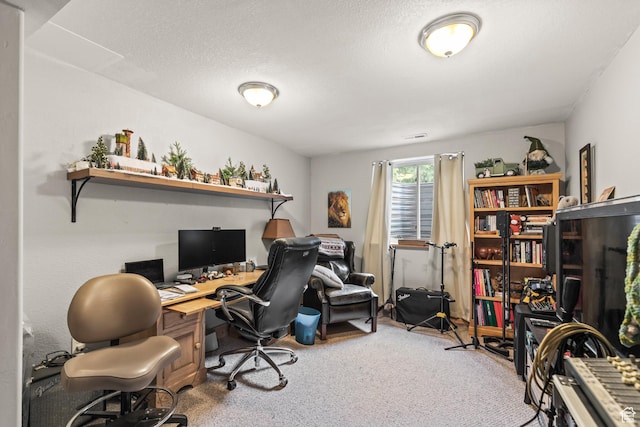 986 E 2290 N, Monroe, UT 84754 - office area with a textured ceiling