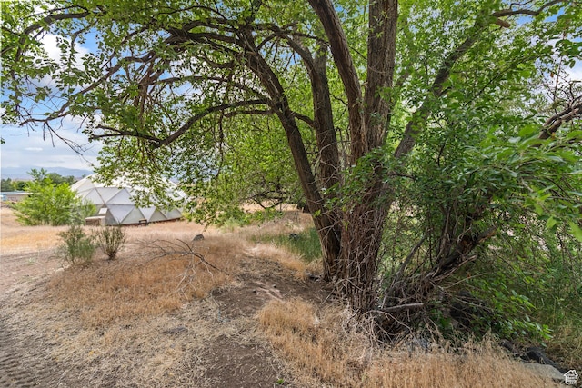 986 E 2290 N, Monroe, UT 84754 - view of yard