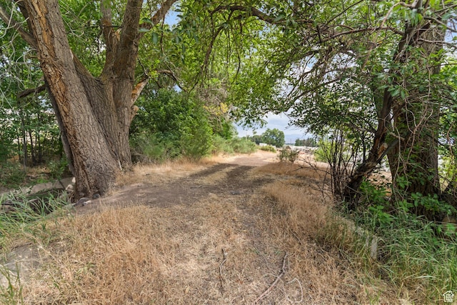986 E 2290 N, Monroe, UT 84754 - view of nature
