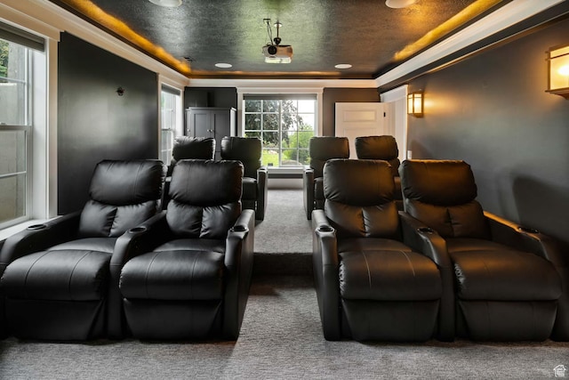 5843 W Wildflower Ln, Highland, UT 84003 - carpeted cinema room featuring a tray ceiling and healthy amount of natural light