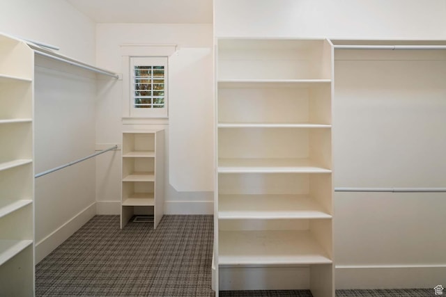 5843 W Wildflower Ln, Highland, UT 84003 - walk in closet with carpet